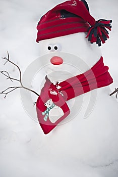 Snowman with hat and scarf