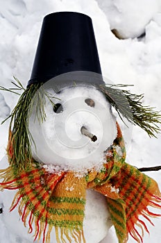 Snowman in a hat and a scarf