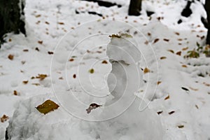 Snowman made from the snow