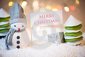 Snowman with Merry Christmas sign