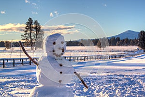 Snowman near Sisters Oregon