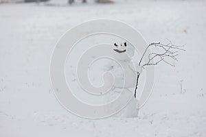Snowman in Orlicke mountains, Czech Republic