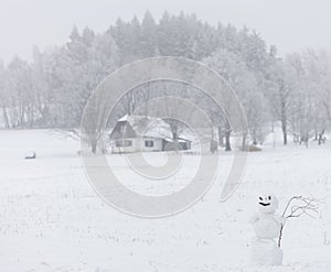 Snowman in Orlicke mountains, Czech Republic