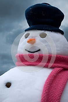 Snowman portrait