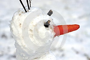 Snowman`s head with carrot nose at first snowy day.