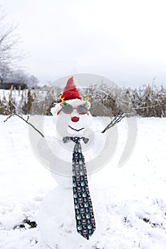 Snowman in Santa\'s hat, carnival glasses and New Year\'s tie. Holiday season of Christmas holidays