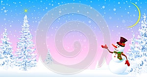 Snowman welcomes Christmas photo