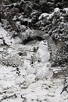 Snowman in the wood. The area of Glendora Ridge and MT Blady in California