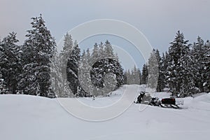 Snowmobile in the lapland fir trees forest.