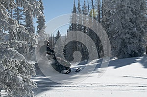 Snowmobile riding coming between trees creating powder