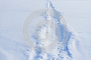 Snowmobile track marks on the snow