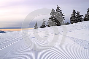 Snowmobile tracks on the hillside