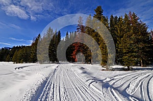 Snowmobile Trail along Greys River, Wyoming photo