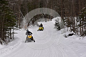 Snowmobiles riding on forest trail in the Adirondacks