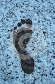 Snowprint
