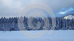 Snowqualmie Pass , Washington 1