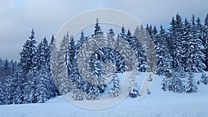 Snowqualmie Pass, Washington 2