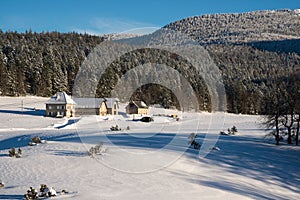 Snowscape close to Grenoble. France