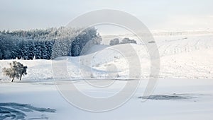 Snowscape over Scottish Loch