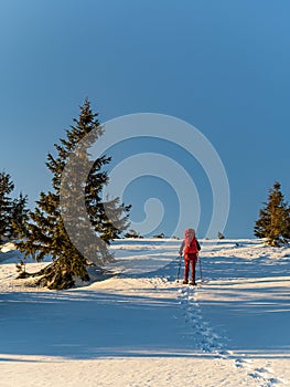Turista na snežniciach v červenom chôdzi s batohom a turistickými palicami zanechávajúc stopy v snehu pri západe slnka