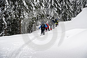 Snowshoe hikers