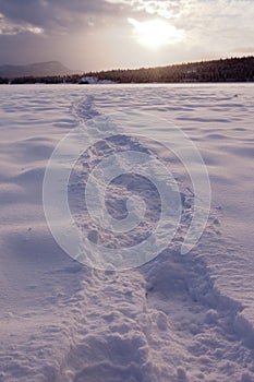 Snowshoe prints trail on snowy frozen lake surface