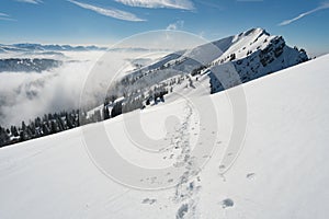 Snowshoe tour on the Hochgrat in the Allgau