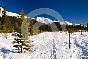 Snowshoe Trails