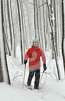 Snowshoeing in a Canadian forest during a heavy snow squall photo