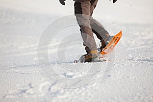 Snowshoeing in Carpathian mountains in wintertime