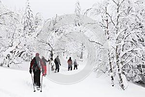 Snowshoeing in a forest