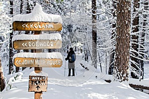 Snowshoeing on a winter trail