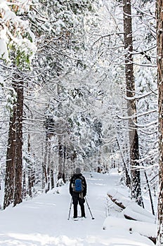 Snowshoeing on a winter trail