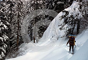 Snowshoer in deep snow,