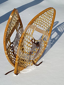 Snowshoes