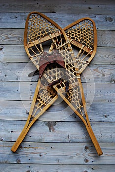 Snowshoes