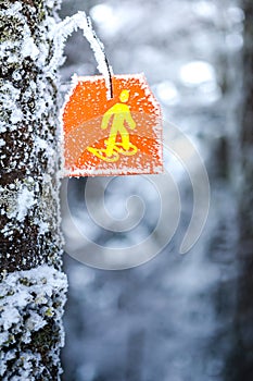 Snowshoes sign hiking marker on tree in winter forest trail
