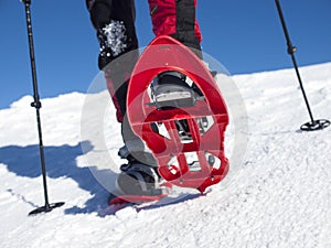 Snowshoes to walk on the snow.