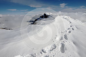 Snowshoes Traces On Etna Park, Sicily photo