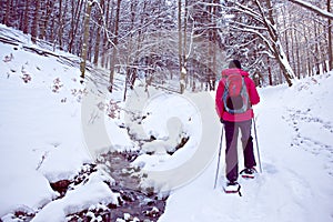 With snowshoes in a winter forest