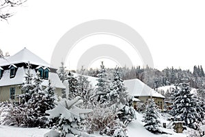 A snowstorm covered everything around with snow