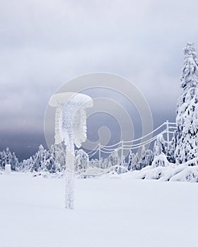 After snowstorm in the forest, snowy sign and ETL photo