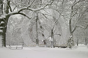 Snowstorm at Roger Williams Park
