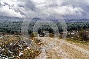 Snowstorm sky landscape over countryside and snowy trees. Dirt road to the mountain