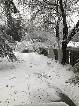 Snowstorm of the year, white out