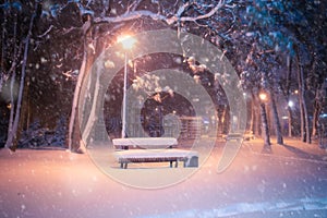 Snowy alley of city illuminated park