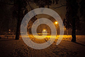 Snowy alley of city illuminated park