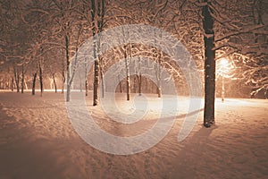 Snowy alley of city illuminated park