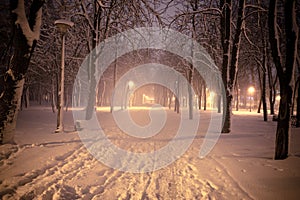 Snowy alley of city illuminated park