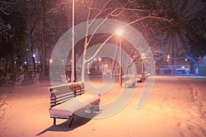 Snowy alley of city illuminated park